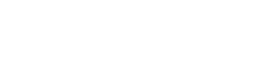 stone instruments company logo